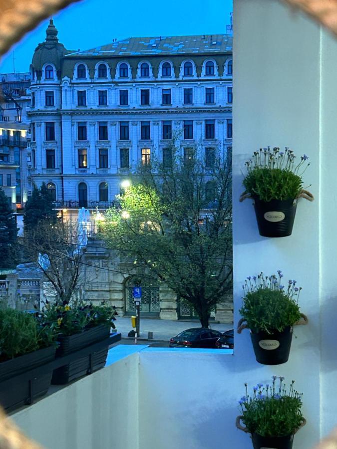City View Bukares Bagian luar foto